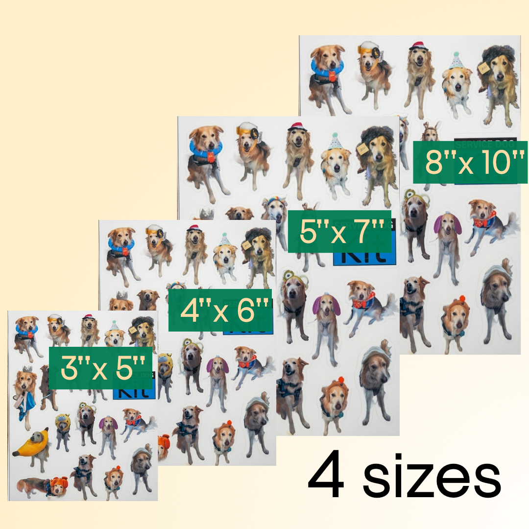 Custom Stickers - Sheets (Vinyl Backed)